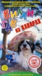 Вилли Гав на Канарах Серия: Семейный кинотЕАтр инфо 8404z.